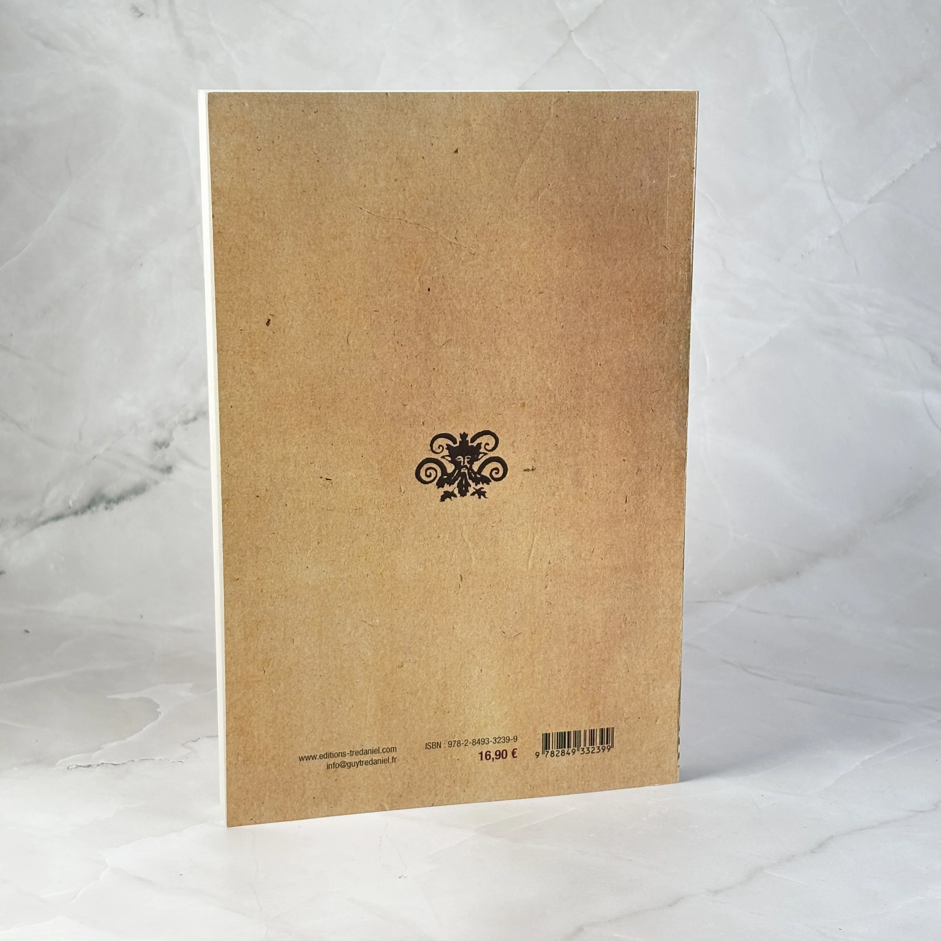 100 recettes de magie pratique - Image 7