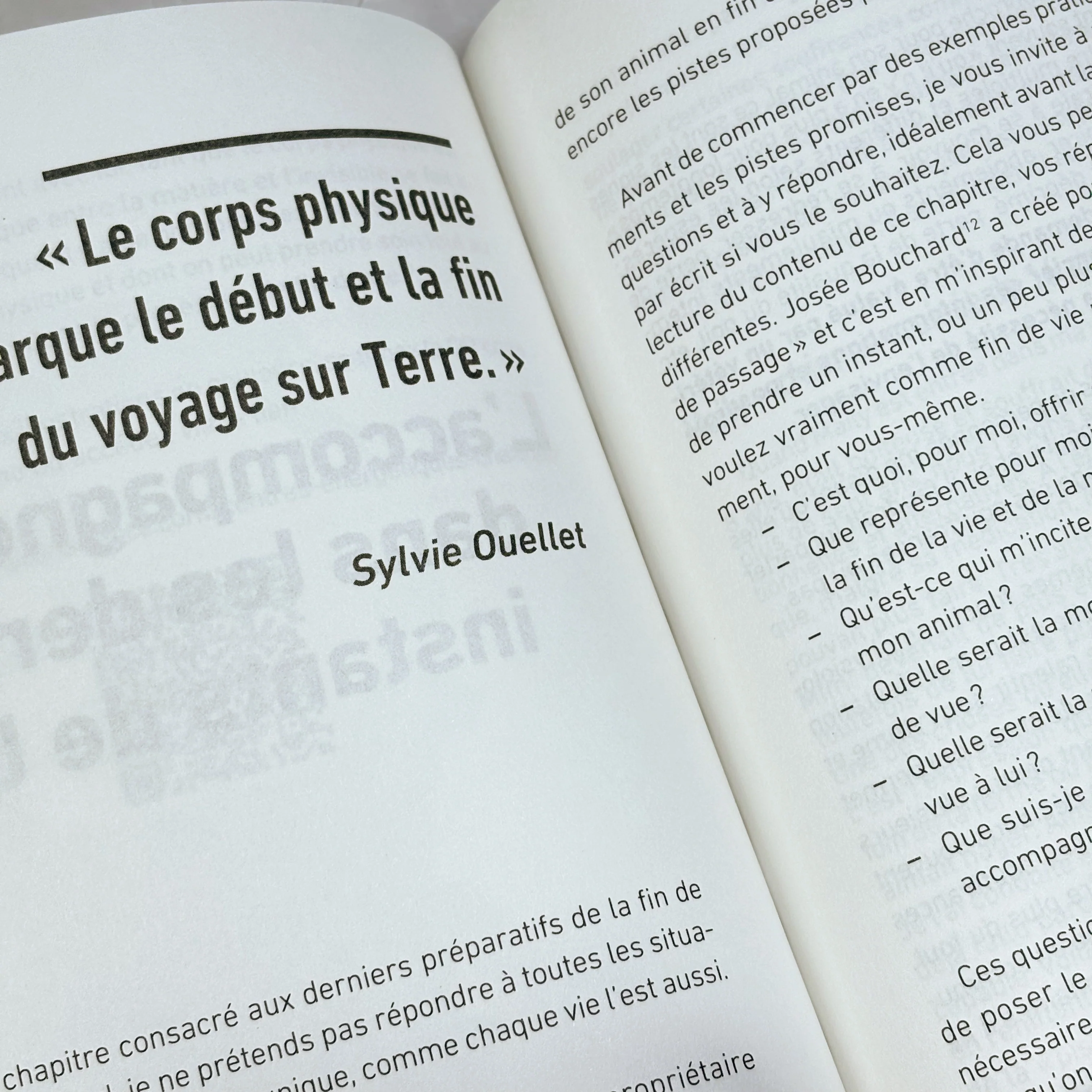 Accompagner son animal en fin de vie - Dialogue avec l'âme animale, ici et dans l'au-delà - Image 5