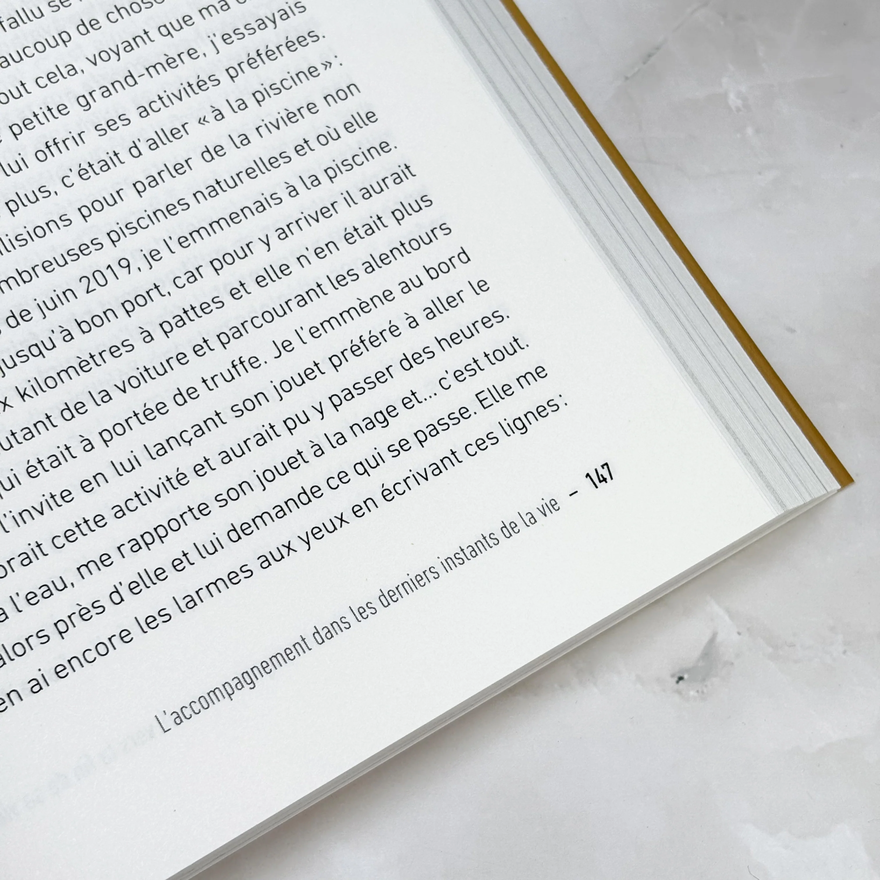 Accompagner son animal en fin de vie - Dialogue avec l'âme animale, ici et dans l'au-delà - Image 6