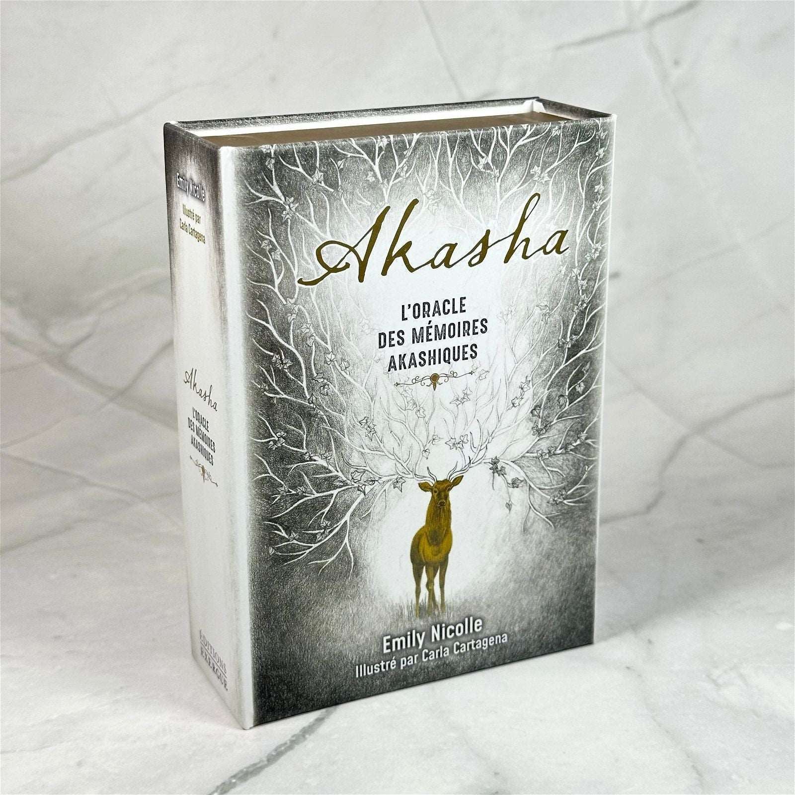 Akasha - l'oracle des Mémoires Akashiques - Image 3