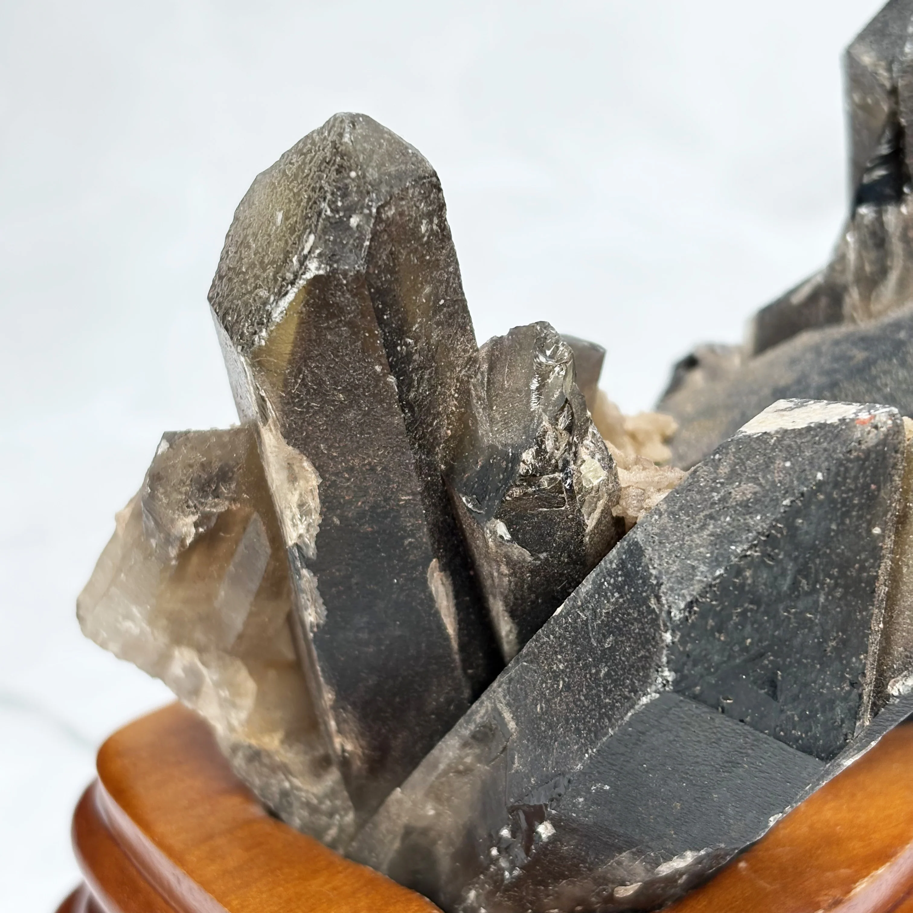 Gerbe de Quartz Fumé sur socle (extra) - Image 12