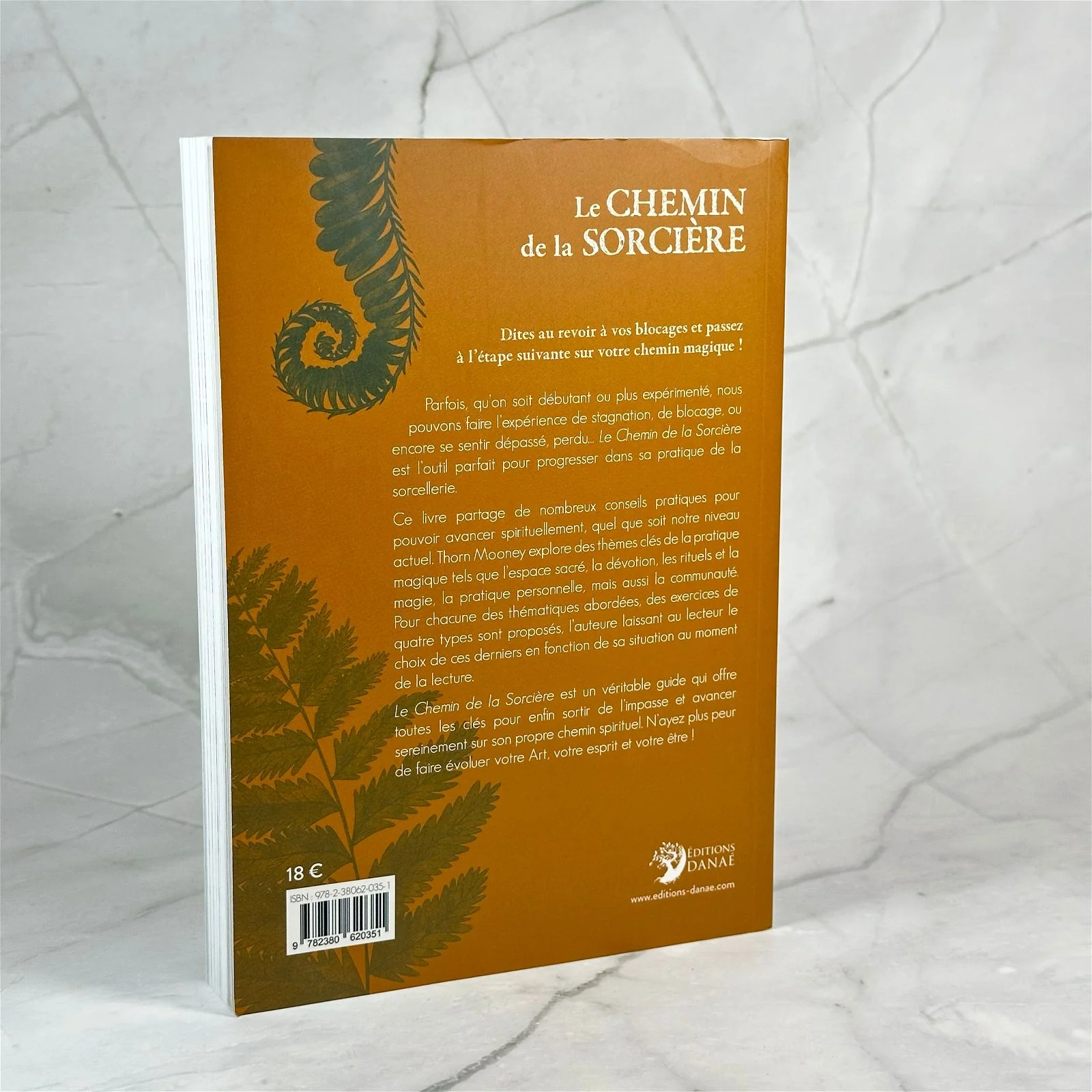 Le Chemin de la Sorcière - Progresser dans son Art - Image 3