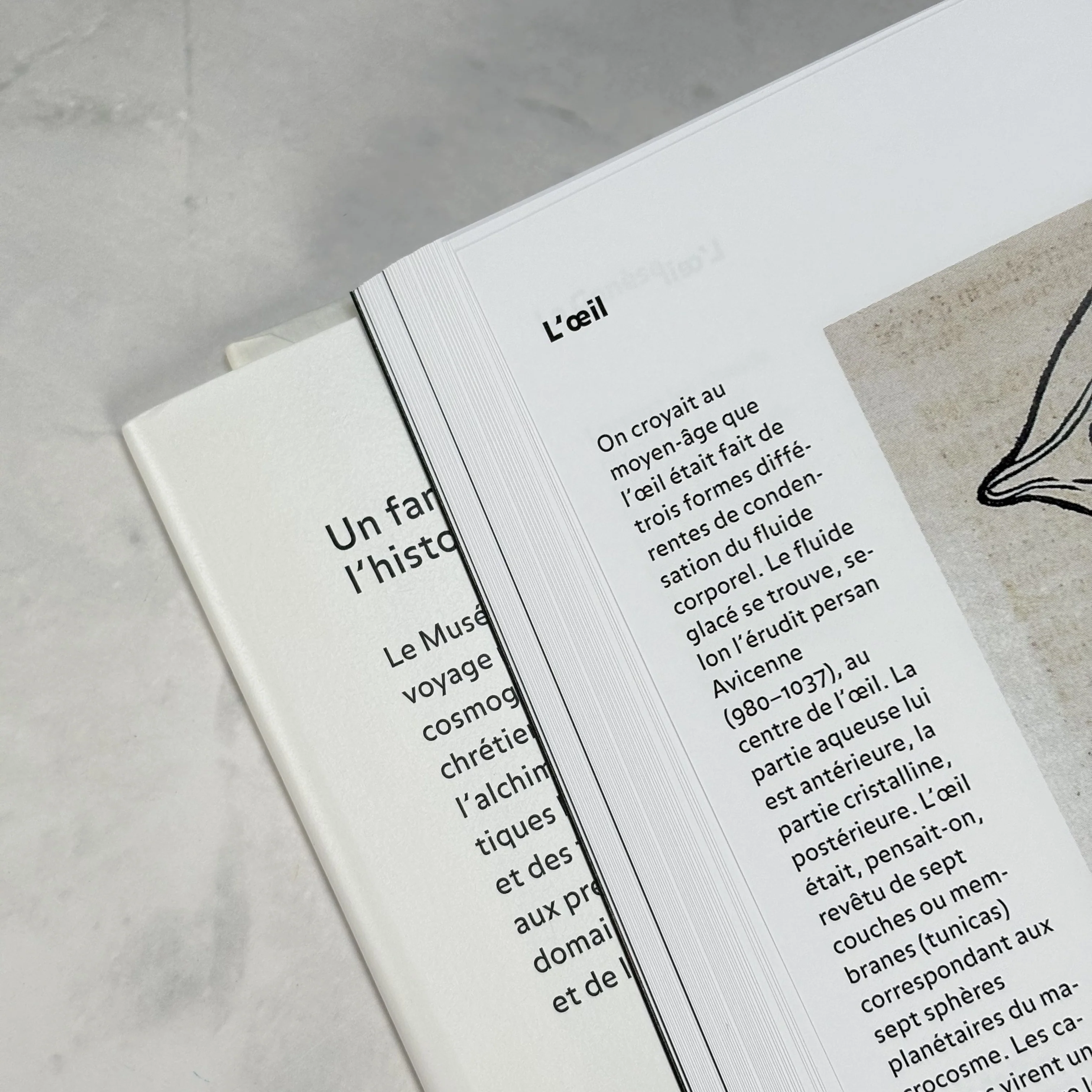 Le Musée Hermétique - Alchimie & Mystique - Image 4