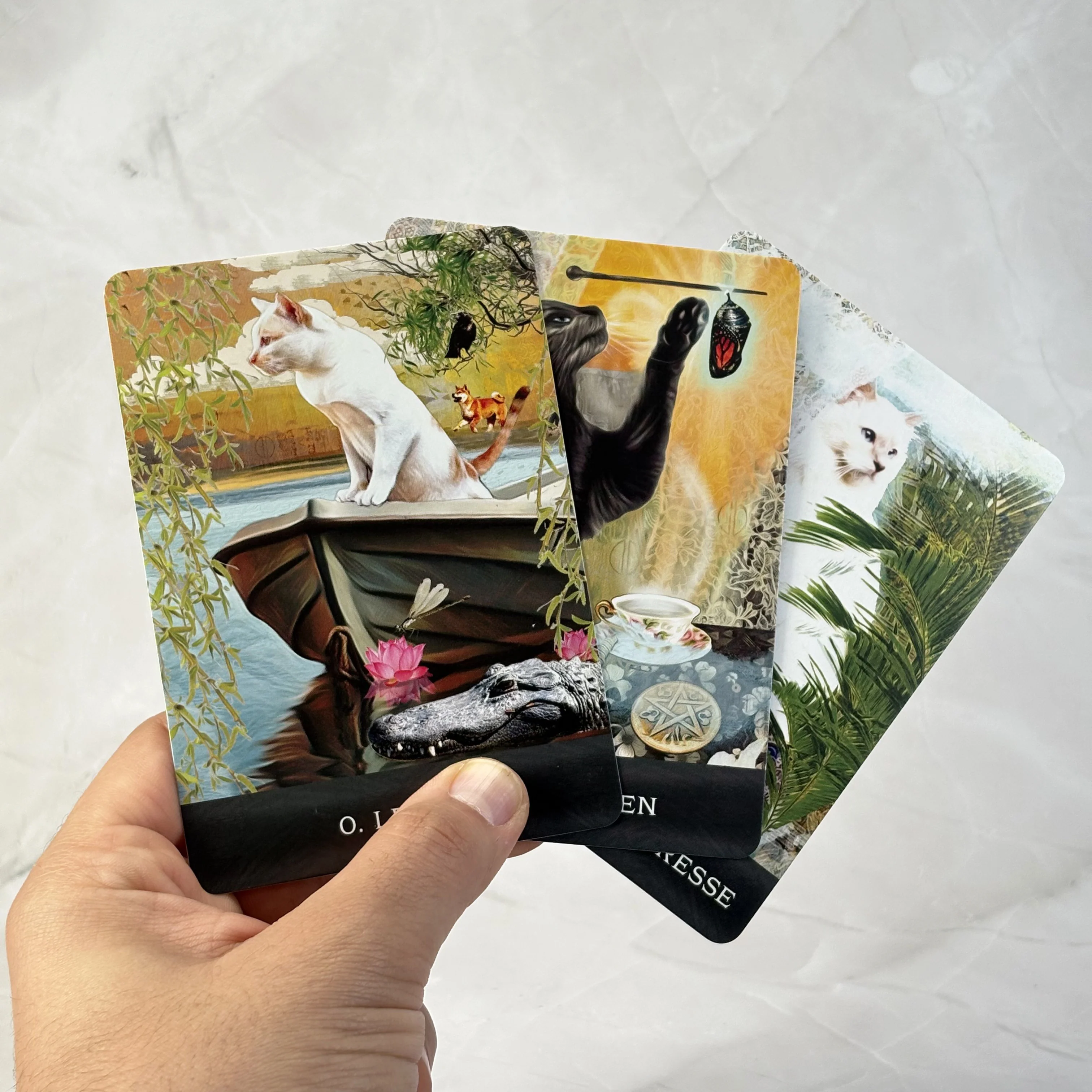 Le Tarot des chats mystérieux - Image 4