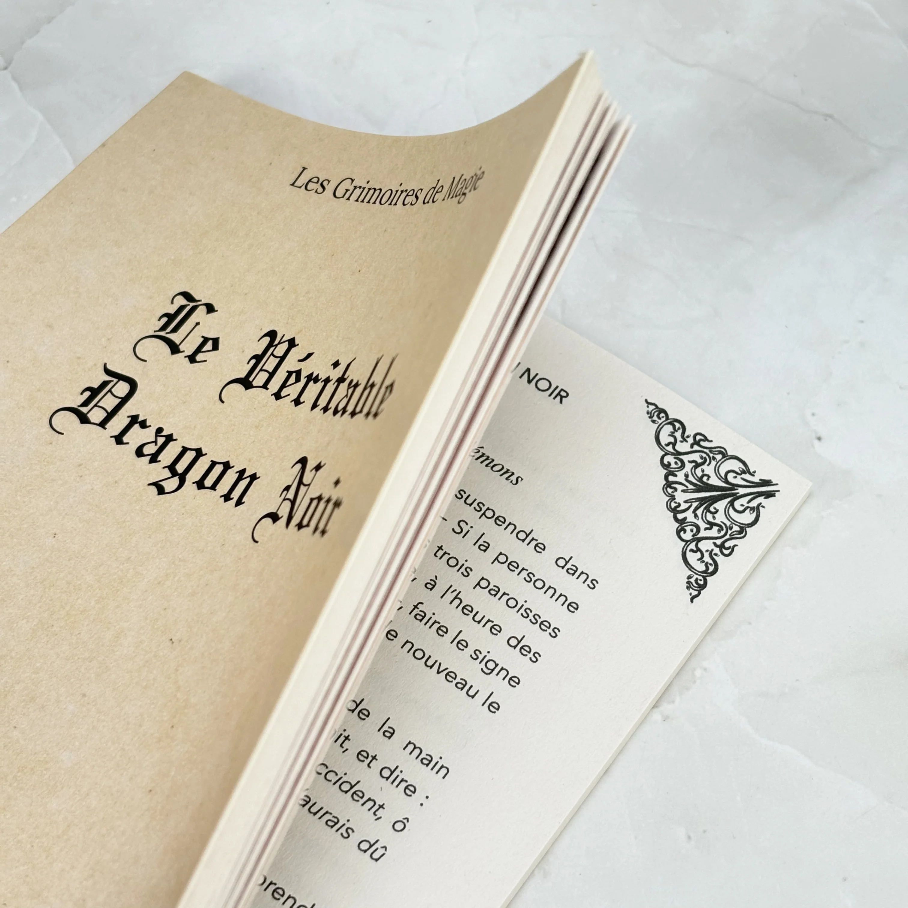 Le Véritable Dragon Noir - Image 2