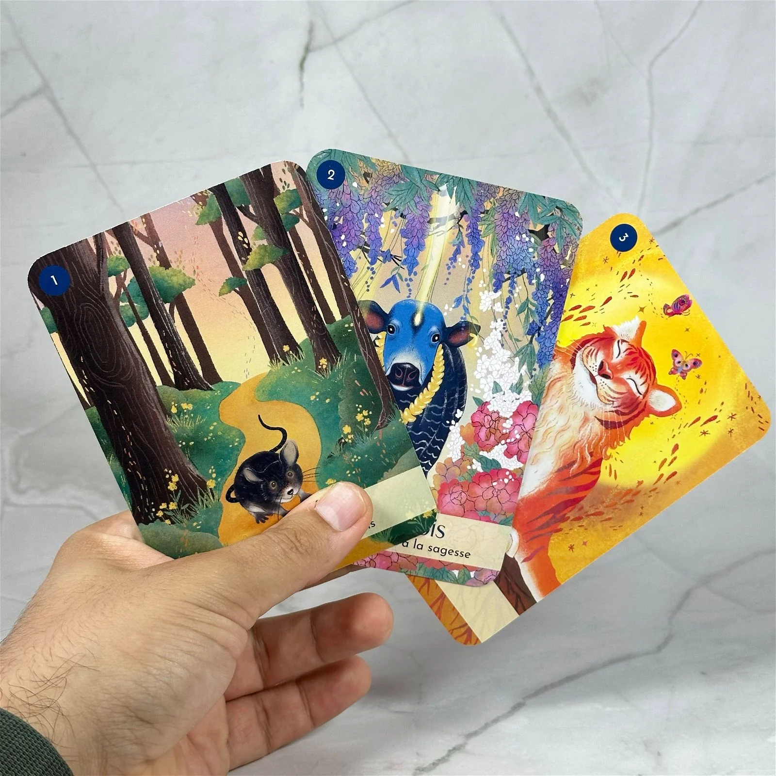 Les 5 éléments - cartes oracle - Image 2