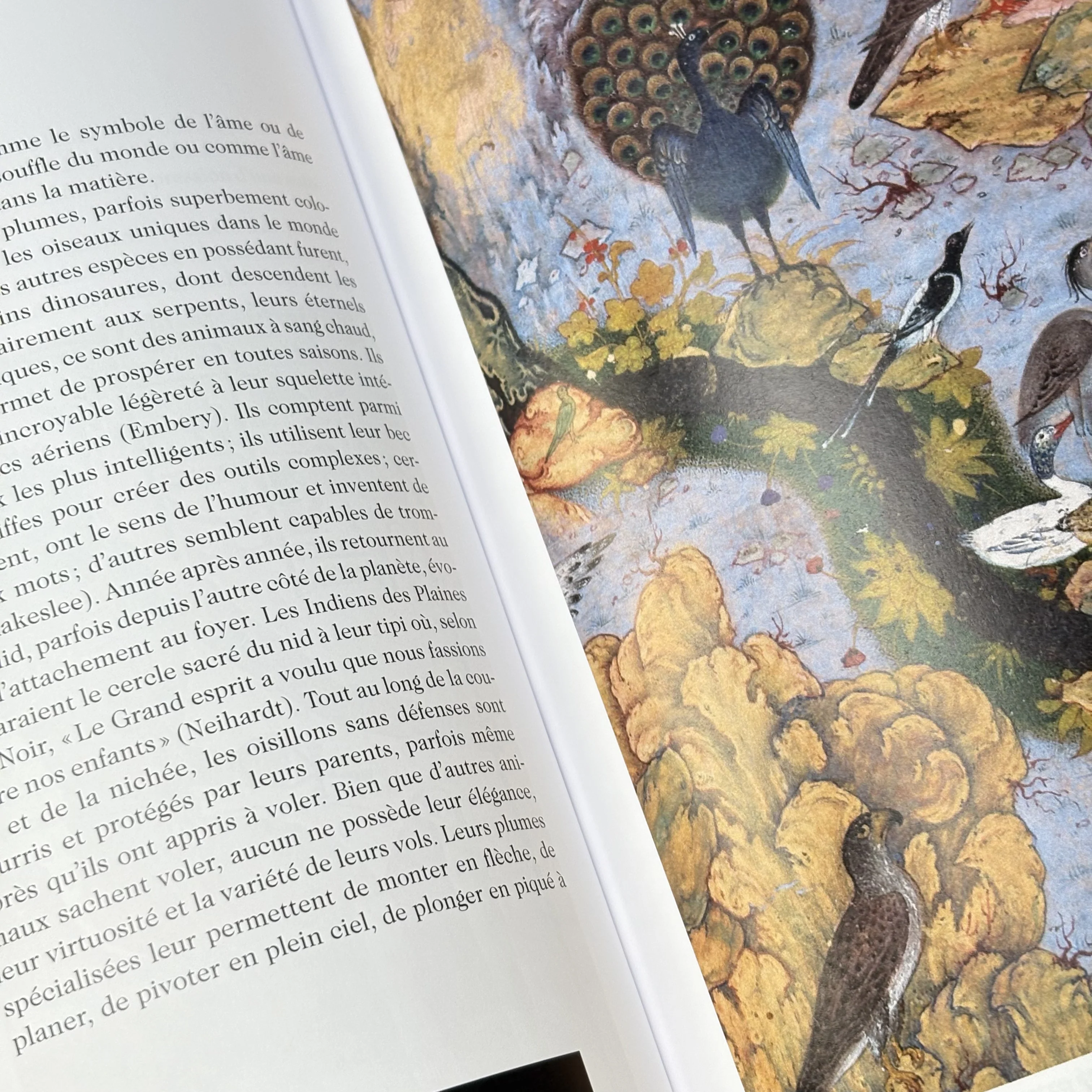 Livre des Symboles - Réflexions sur des images archétypales - Image 5