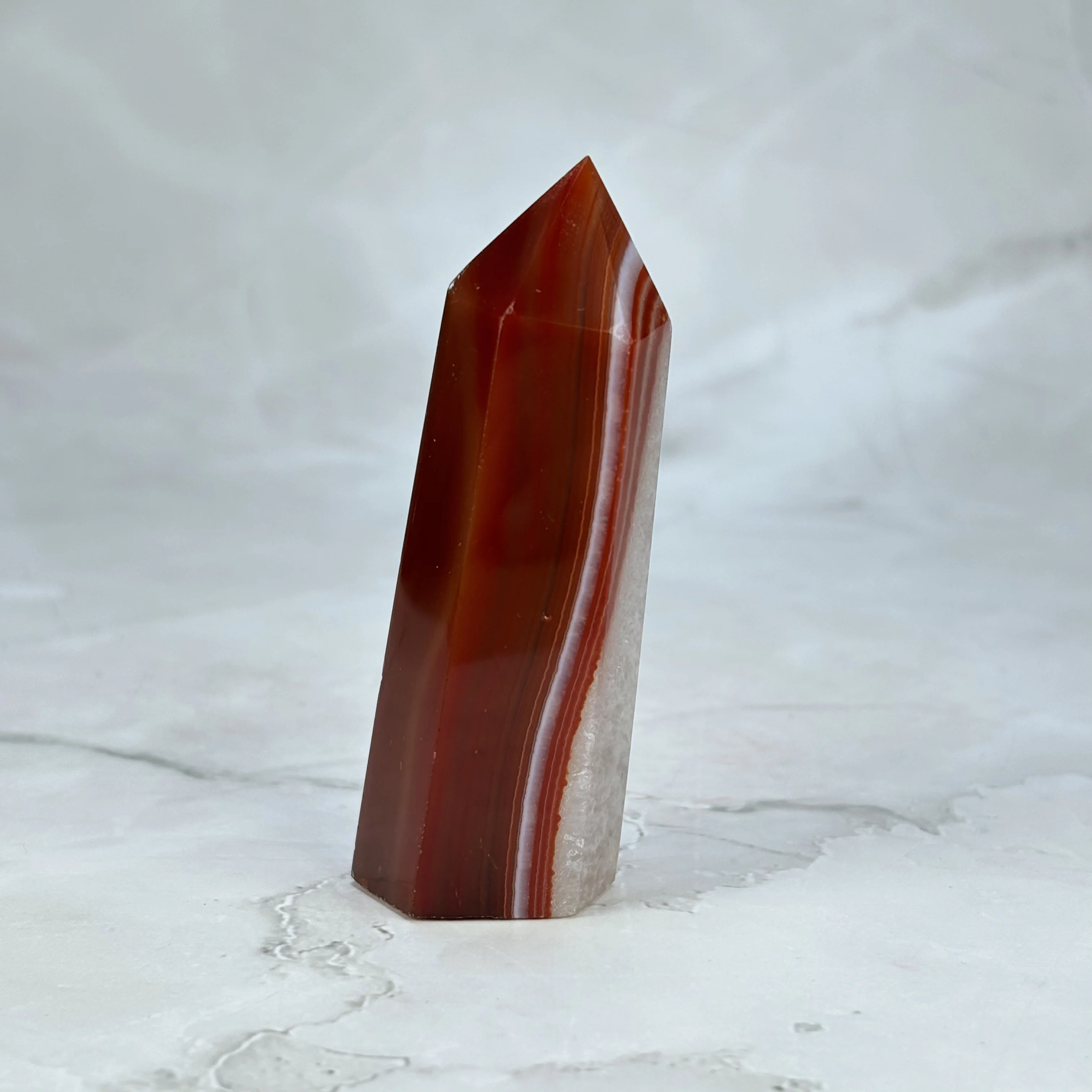 Pointe Sardonyx - P18 (extra) - Image 5