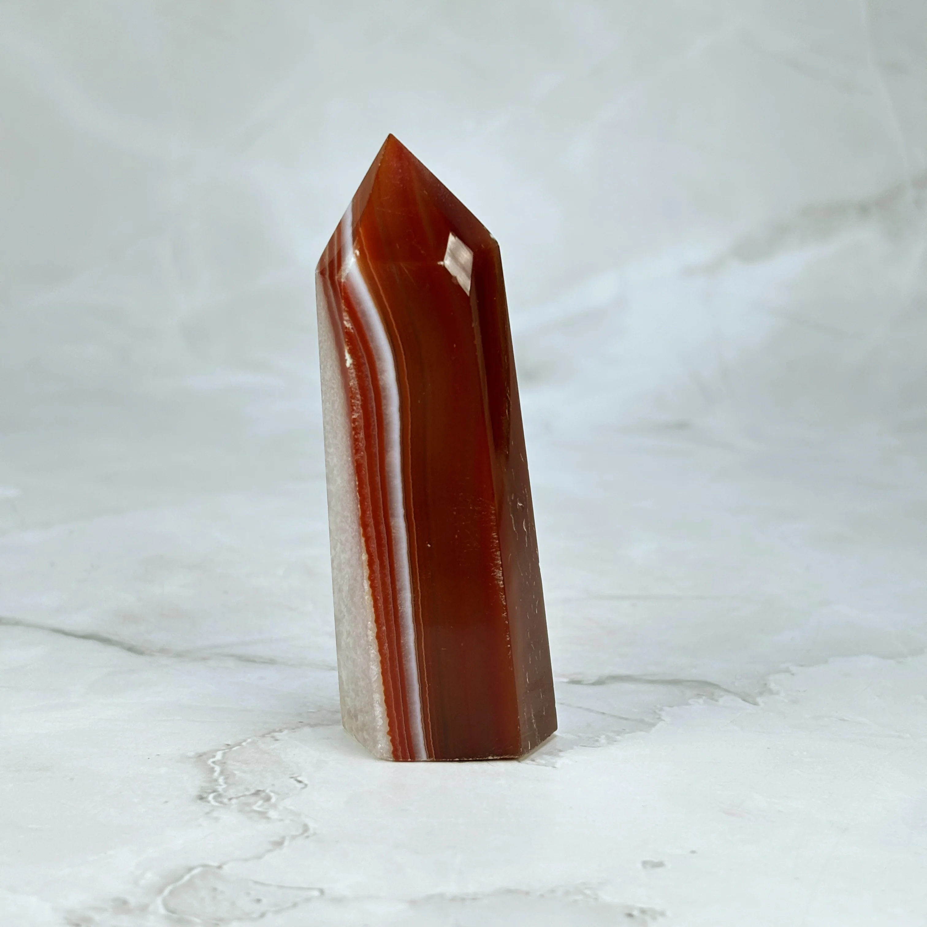 Pointe Sardonyx - P18 (extra) - Image 7