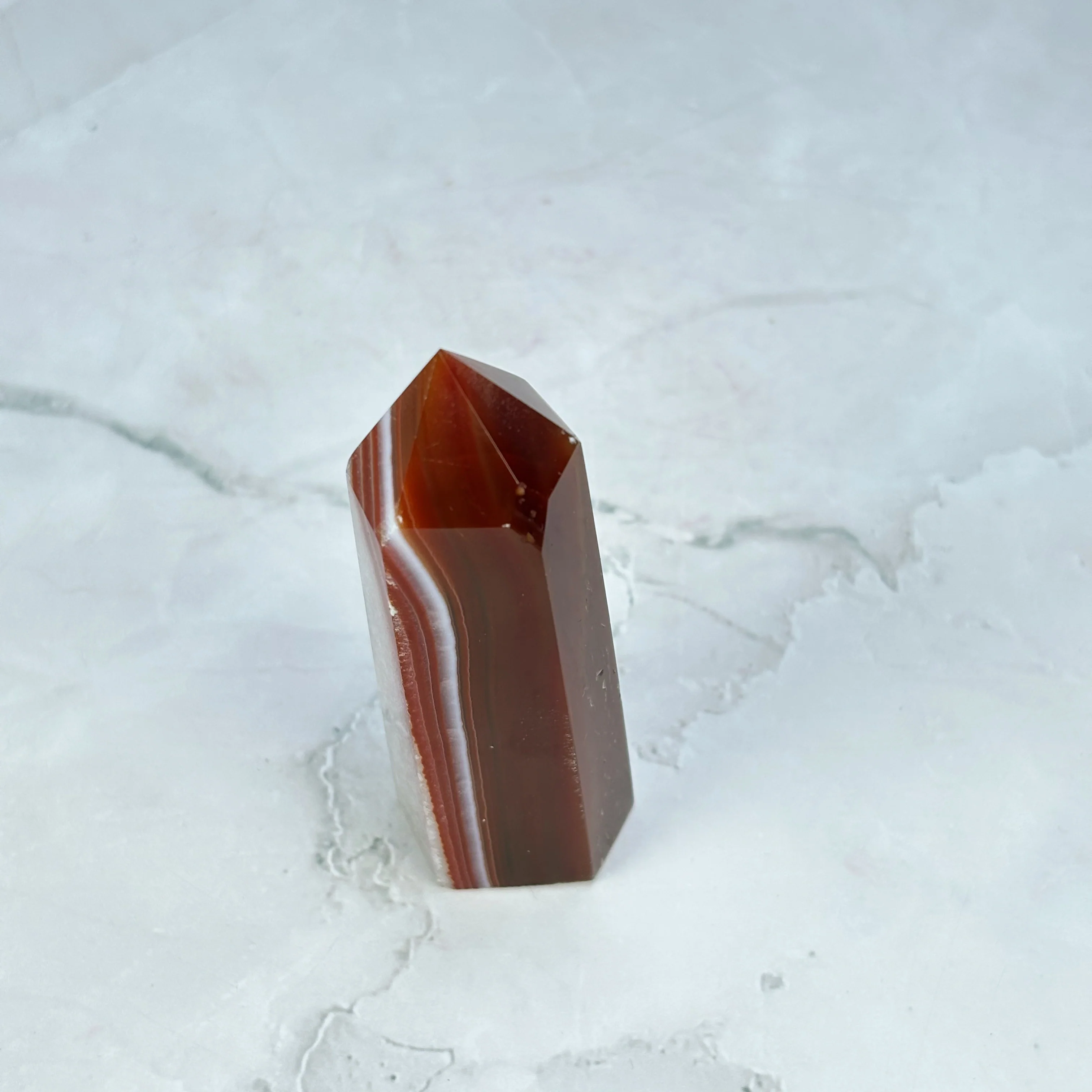 Pointe Sardonyx - P18 (extra) - Image 8