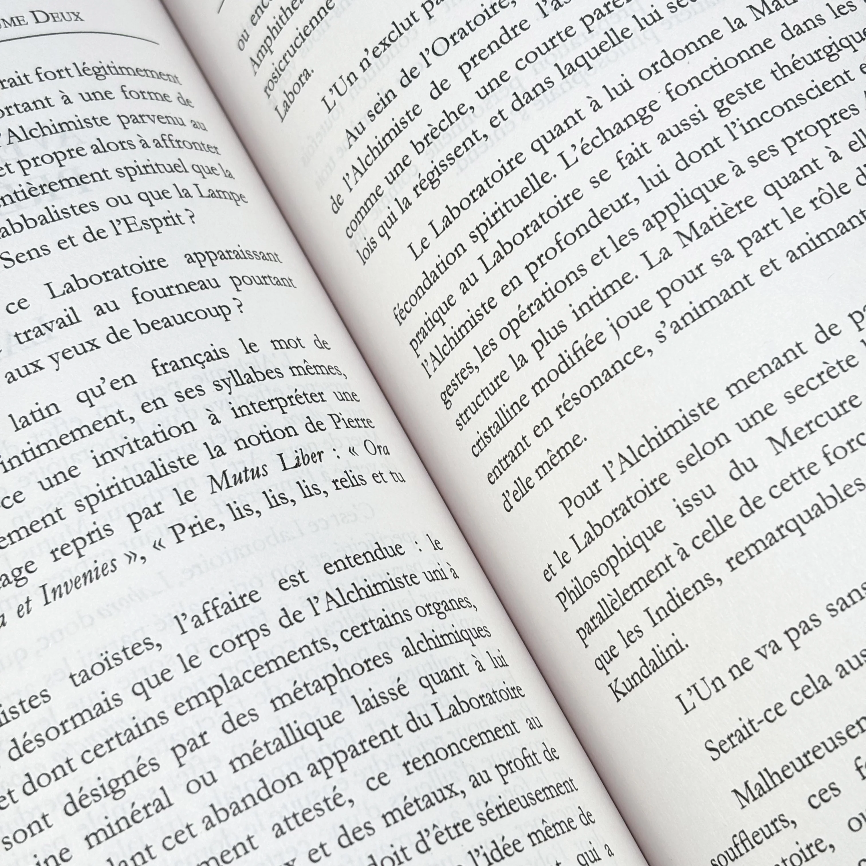 Rébis ou le secret de l'alchimiste - Traité d'alchimie opérative - Image 5