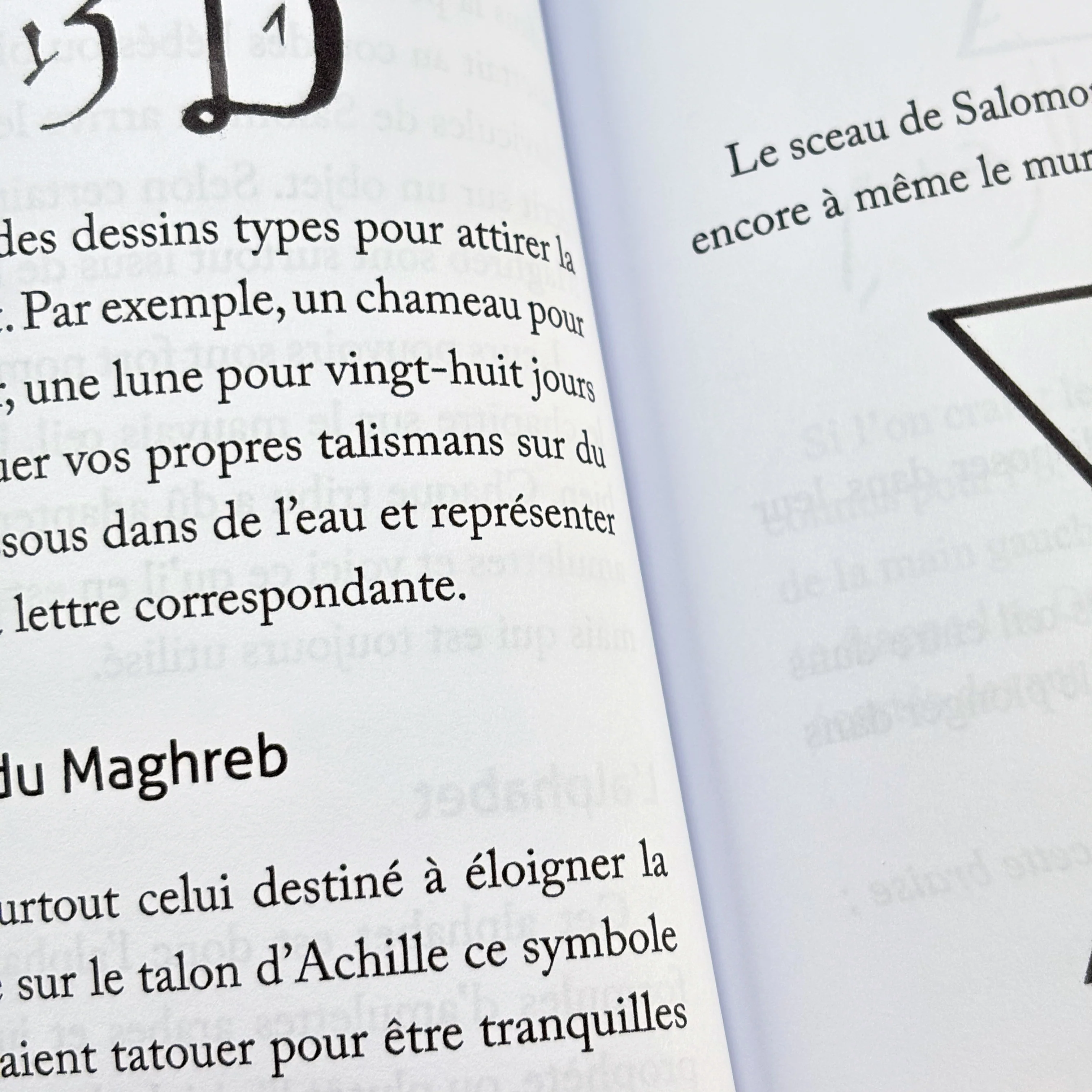 Secrets et recettes de magie arabe - Image 6
